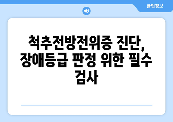 척추전방전위증 장애등급| 상세 정보 및 판정 기준 | 장애등급, 판정, 척추전방전위증