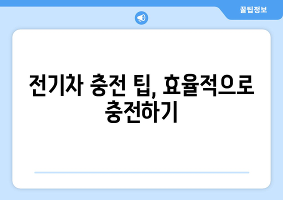 코나 EV 주행거리, 실제 주행 성능은? | 전기차, 주행거리, 실연비, 충전 팁