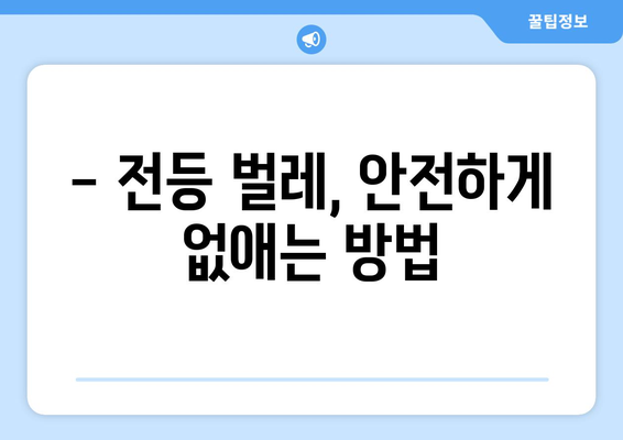 전등 속 벌레, 어떻게 없앨까요? | 벌레퇴치, 전등 청소, 집안 해충