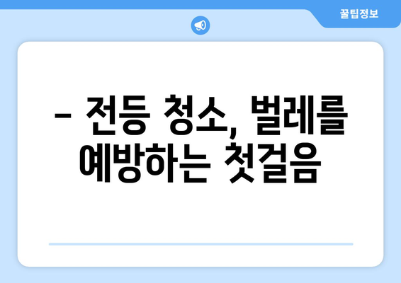 전등 속 벌레, 어떻게 없앨까요? | 벌레퇴치, 전등 청소, 집안 해충