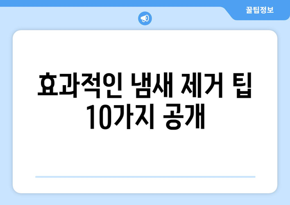 집 냄새 제거 완벽 가이드| 10가지 효과적인 방법 | 악취 제거, 집안 냄새, 효과적인 냄새 제거 팁