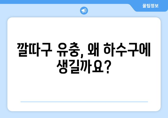 깔따구 유충 발생 원인| 징그러운 벌레, 퇴치 전 알아야 할 진짜 이유 | 깔따구, 유충, 하수구, 물 냄새, 벌레 퇴치