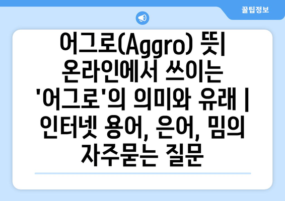 어그로(Aggro) 뜻| 온라인에서 쓰이는 