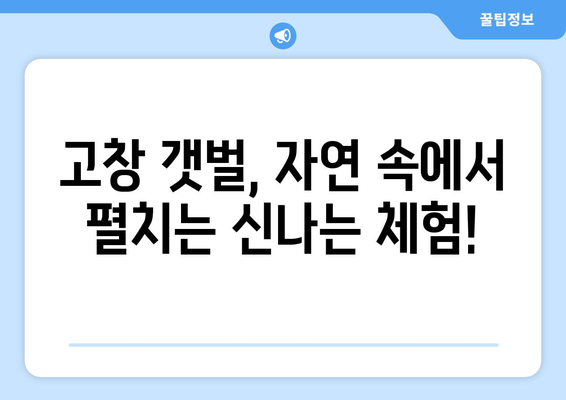 고창 갯벌 축제| 즐길 거리 가득한 갯벌 체험의 매력 | 고창, 갯벌 축제, 체험, 먹거리, 볼거리