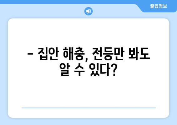 전등 속 벌레, 어떻게 없앨까요? | 벌레퇴치, 전등 청소, 집안 해충