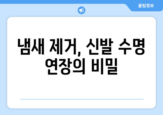 신발 냄새 제거 완벽 가이드| 효과적인 9가지 방법 | 신발 냄새, 악취 제거, 탈취, 신발 관리