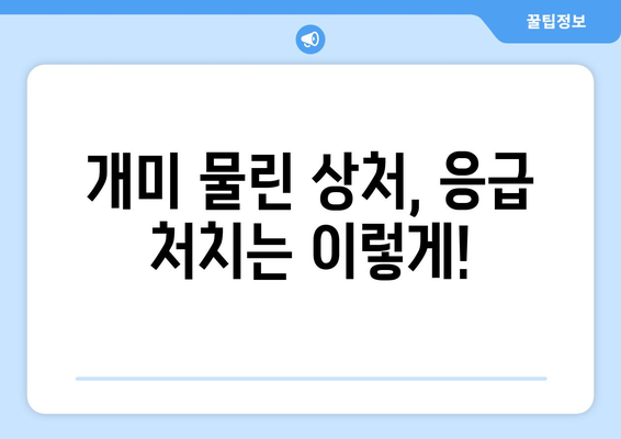 개미 물렸을 때, 당황하지 말고! 응급처치 & 완벽 대처 가이드 | 개미, 벌레 물림, 응급 처치, 알레르기, 치료