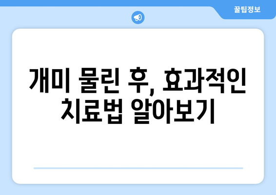 개미 물렸을 때, 당황하지 말고! 응급처치 & 완벽 대처 가이드 | 개미, 벌레 물림, 응급 처치, 알레르기, 치료