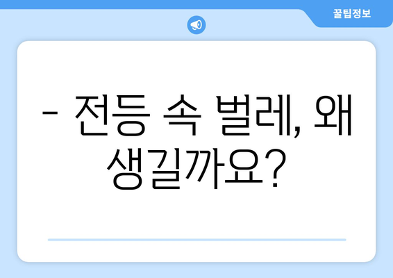 전등 속 벌레, 어떻게 없앨까요? | 벌레퇴치, 전등 청소, 집안 해충