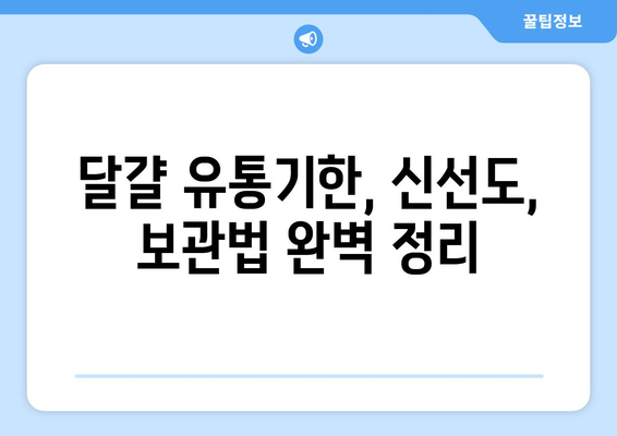 달걀 유통기한 확인| 신선도 판별법 & 보관 꿀팁 | 달걀, 신선도, 유통기한, 보관법, 냉장 보관