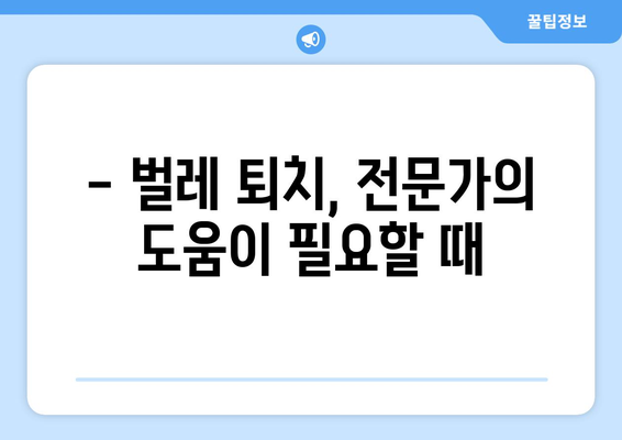 전등 속 벌레, 어떻게 없앨까요? | 벌레퇴치, 전등 청소, 집안 해충