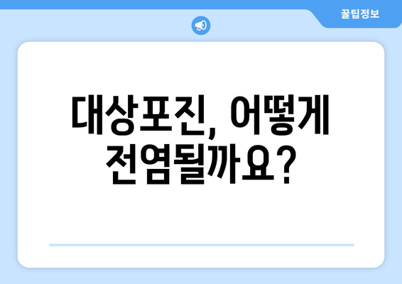 대상포진 전염, 어떻게 막을 수 있을까요? | 대상포진, 전염 경로, 예방법, 백신