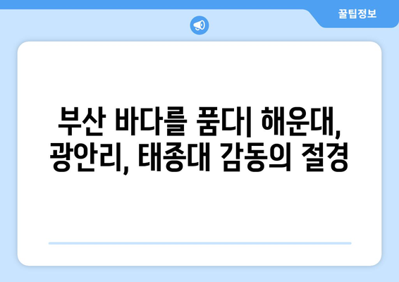 부산 여행 필수 코스! 핵심 관광지 완벽 정복 | 부산 관광, 여행 가이드, 부산 지도, 추천 명소