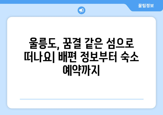 울릉도 여행 완벽 가이드| 이동, 숙소, 맛집, 액티비티까지 | 울릉도 여행 계획, 울릉도 여행 코스, 울릉도 여행 정보