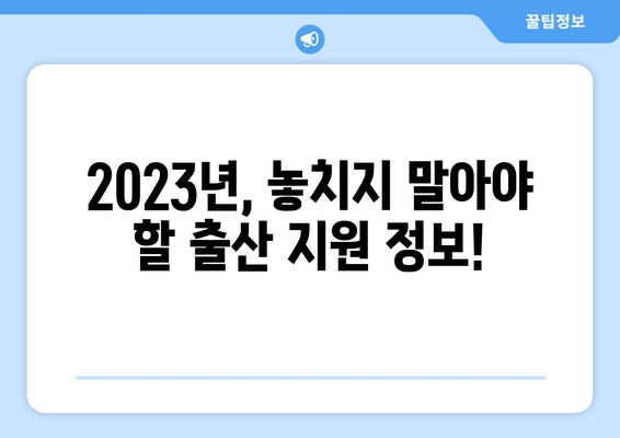 2023년 지역별 출산장려금 총정리| 지역별 지원금액 & 지원대상 한눈에 보기 | 출산 지원, 출산 장려, 정부 지원, 출산 혜택