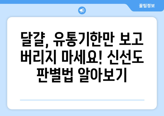 달걀 유통기한 확인| 신선도 판별법 & 보관 꿀팁 | 달걀, 신선도, 유통기한, 보관법, 냉장 보관