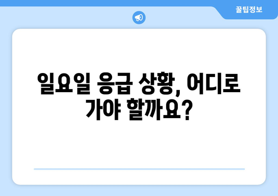 일요일 응급실 병원 찾기| 지역별, 진료과별 정보 한눈에 보기 | 응급실, 주말 진료, 병원 정보