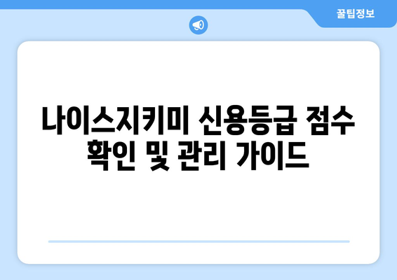 나이스지키미 신용등급 점수 확인 및 관리 가이드 | 신용등급, 신용점수, 나이스지키미 활용법