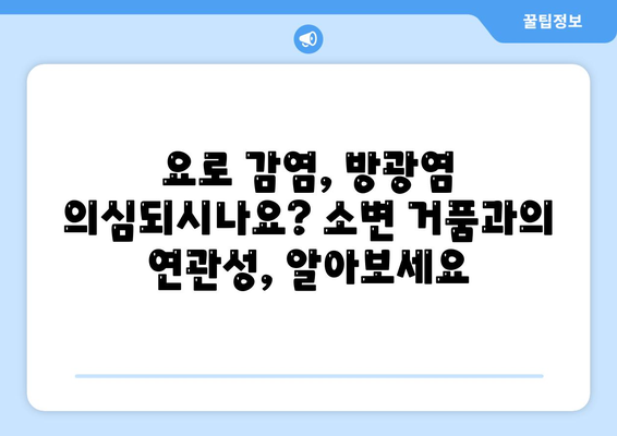 소변 거품, 걱정 마세요! 원인과 해결 방법 총정리 | 소변 거품, 거품 소변, 건강, 요로 감염, 방광염, 치료