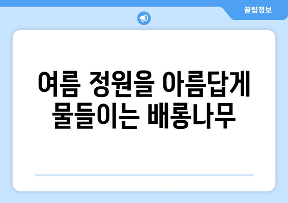 배롱나무의 매력, 10가지 특징으로 알아보기 | 꽃, 나무, 식물, 가드닝, 정원, 여름꽃