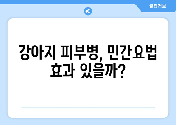 강아지 피부병, 민간요법으로 해결할 수 있을까요? | 강아지 피부병 증상, 원인, 치료, 예방