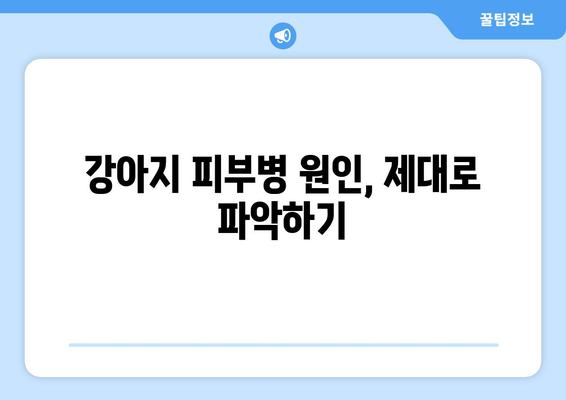 강아지 피부병, 민간요법으로 해결할 수 있을까요? | 강아지 피부병 증상, 원인, 치료, 예방