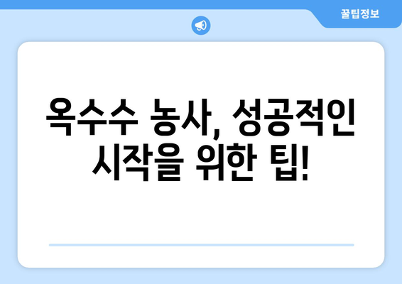 옥수수 심는 최적의 시기 & 지역별 재배 가이드 | 옥수수 농사, 재배 시기, 지역별 특징