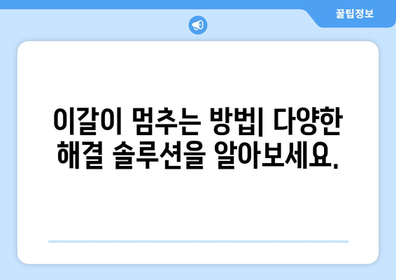 이갈이 고치는 방법| 원인 분석부터 해결 솔루션까지 | 이갈이, 치아 마모, 수면 장애, 스트레스, 치과 치료