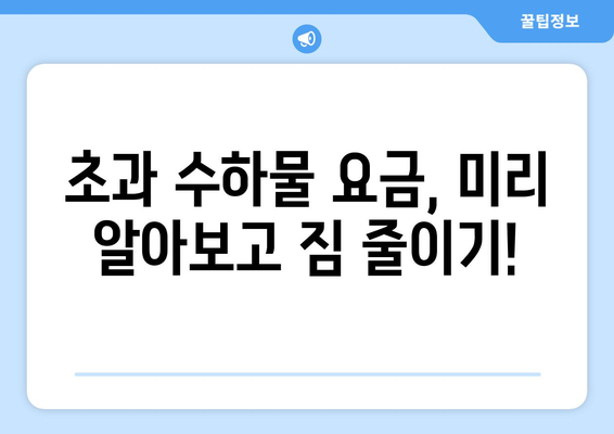 제주항공 수화물 초과 요금 꼼꼼히 살펴보기 | 수화물 규정, 초과 요금, 팁, 해결책