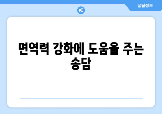 송담 뿌리 효능| 건강 지키는 자연의 선물 | 면역력, 항암 효과, 혈액순환, 송담차, 송담 효능