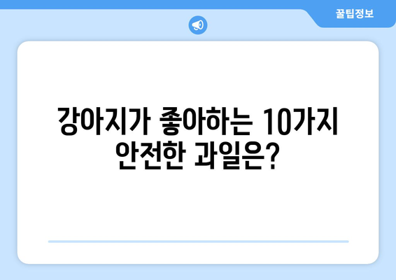 강아지가 안전하게 먹을 수 있는 과일 10가지 | 반려견, 간식, 건강