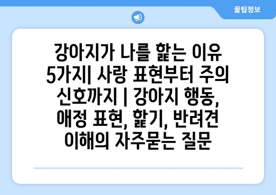 강아지가 나를 핥는 이유 5가지| 사랑 표현부터 주의 신호까지 | 강아지 행동, 애정 표현, 핥기, 반려견 이해