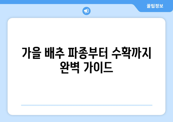 가을 배추 파종, 언제 하는 게 좋을까요? | 지역별 파종 시기 & 성공적인 재배 가이드