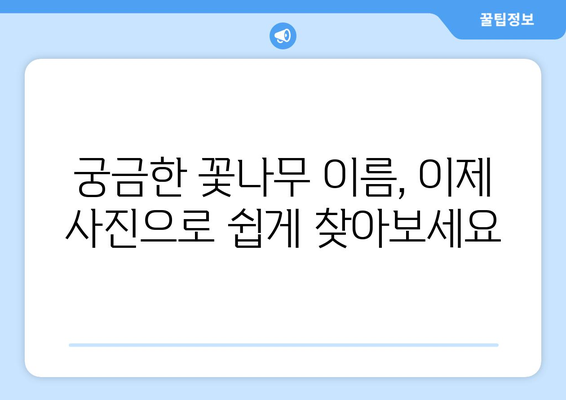 꽃나무 이름 찾기| 사진으로 쉽게 찾는 방법 | 식물, 꽃, 식별, 인공지능