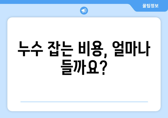 수도계량기 누수, 이제 걱정하지 마세요! | 누수 원인, 해결 방법, 비용, 주의 사항 완벽 가이드