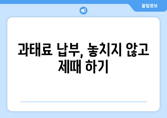 주정차 과태료, 간편하게 납부하세요! | 과태료 납부 방법, 납부 기한, 납부 방법 비교