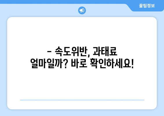 속도위반, 실시간 조회로 바로 확인하세요! | 과태료, 벌점, 조회 방법, 범칙금, 교통법규