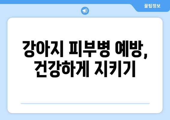 강아지 피부병, 민간요법으로 해결할 수 있을까요? | 강아지 피부병 증상, 원인, 치료, 예방