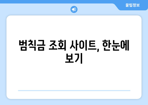 내 차량 범칙금, 간편하게 조회하세요! | 범칙금 조회, 과태료, 납부 방법, 조회 사이트