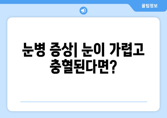 눈병 종류| 증상별 완벽 가이드 | 눈병, 원인, 치료, 예방