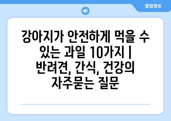 강아지가 안전하게 먹을 수 있는 과일 10가지 | 반려견, 간식, 건강