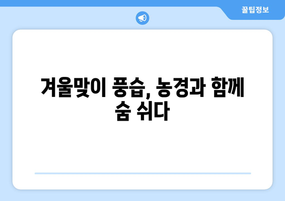 24절기 입동 소설| 겨울의 시작을 알리는 풍습과 전설 | 입동, 소설, 절기, 겨울, 풍습, 전설, 농경