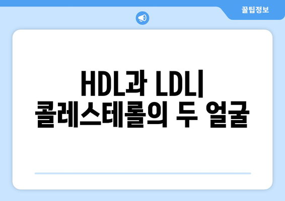 HDL과 LDL| 당신의 콜레스테롤 건강을 위한 완벽 가이드 | 콜레스테롤, 건강 검진, 심혈관 질환, 식단 관리, 운동