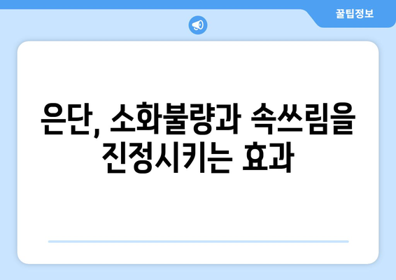 은단의 놀라운 효능 7가지| 건강 관리에 도움이 되는 이유 | 은단, 효능, 건강, 약효, 소화, 숙취, 구토