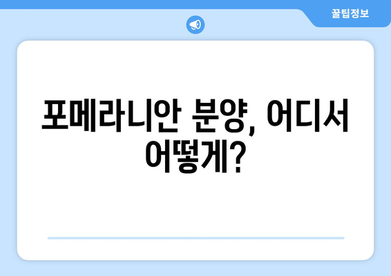 포메라니안 입양부터 건강 관리까지| 똑똑한 견주를 위한 완벽 가이드 | 포메라니안, 분양, 훈련, 건강, 관리, 팁