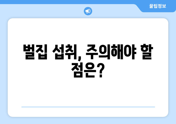 벌집, 먹어도 괜찮을까요? | 벌집 먹는 법, 꿀벌, 벌집 효능, 주의 사항