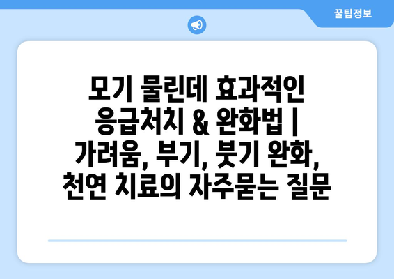 모기 물린데 효과적인 응급처치 & 완화법 | 가려움, 부기, 붓기 완화, 천연 치료