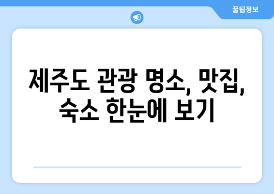 제주도 여행 필수템! 상세 지도 & 관광 정보 | 제주도 지도, 여행 가이드, 관광 명소, 맛집, 숙소, 추천 코스