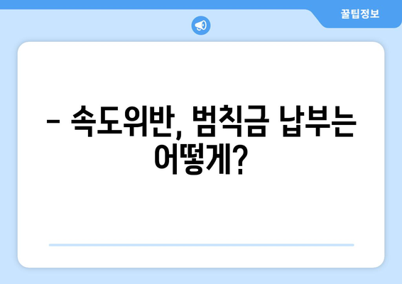 속도위반, 실시간 조회로 바로 확인하세요! | 과태료, 벌점, 조회 방법, 범칙금, 교통법규