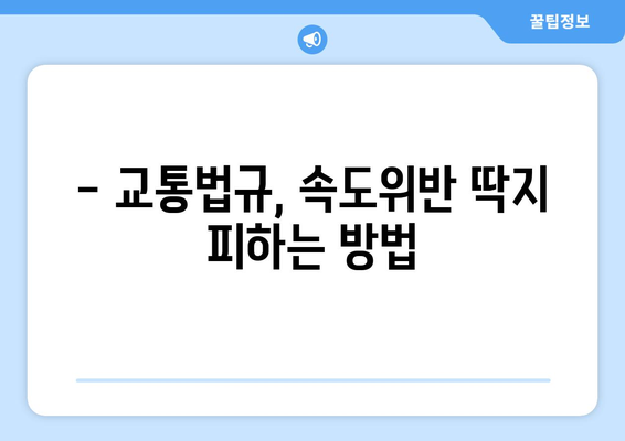 속도위반, 실시간 조회로 바로 확인하세요! | 과태료, 벌점, 조회 방법, 범칙금, 교통법규